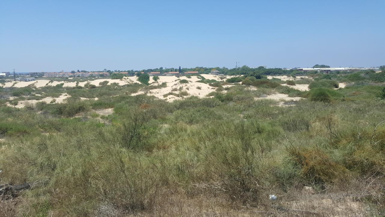 Neot Golf Caesarea Garden Apartment Cesareia Exterior foto