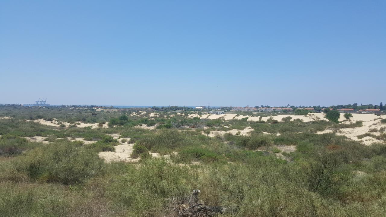 Neot Golf Caesarea Garden Apartment Cesareia Exterior foto